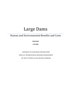 Large Dams