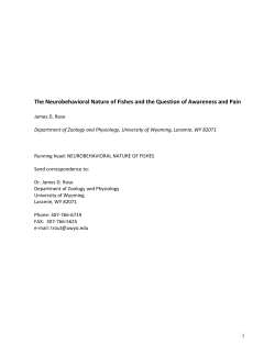 The Neurobehavioral Uniqueness of Fish
