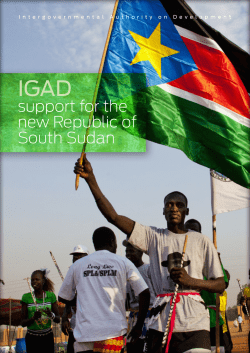support for the new Republic of South Sudan