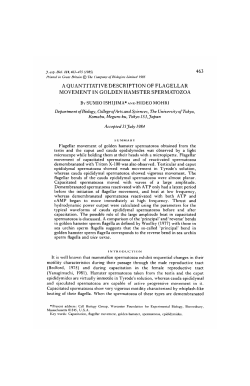 a quantitative description of flagellar movement in golden hamster