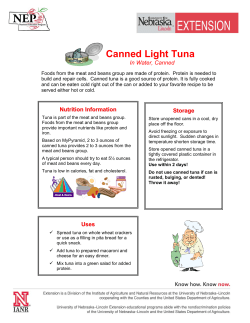 Canned Light Tuna