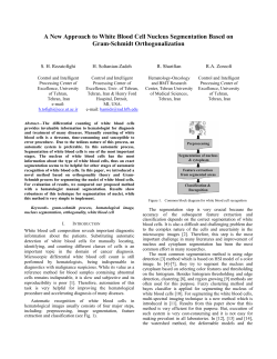 A New Approach to White Blood Cell Nucleus Segmentation Based