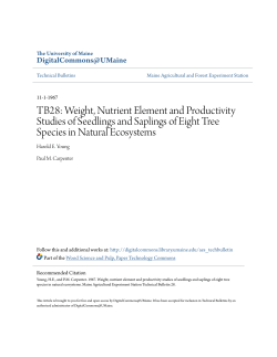 TB28: Weight, Nutrient Element and Productivity Studies of
