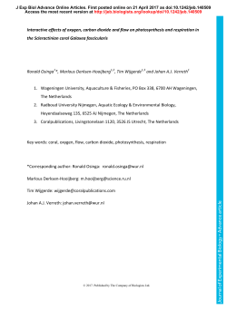 Interactive effects of oxygen, carbon dioxide and flow on