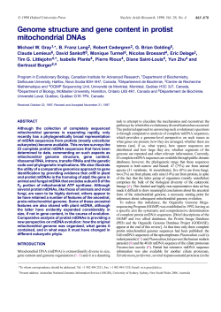 Genome structure and gene content in protist