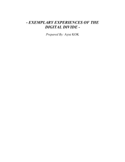 EXEMPLARY EXPERIENCES OF THE DIGITAL DIVIDE