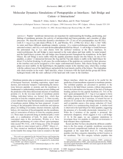 Molecular Dynamics Simulations of Pentapeptides at Interfaces: Salt