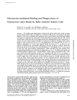 Fibronectin-mediated Binding and Phagocytosis of Polystyrene