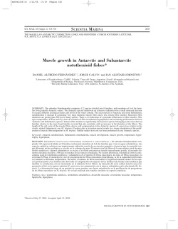 Muscle growth in Antarctic and Subantarctic - ICM-CSIC