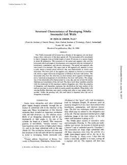 Structural Characteristics of Developing Nitella Internodal Cell Walls