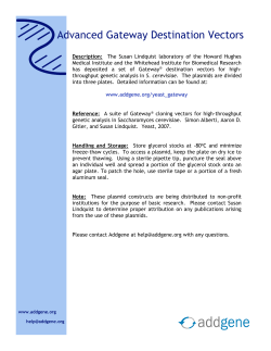Advanced Gateway Destination Vectors