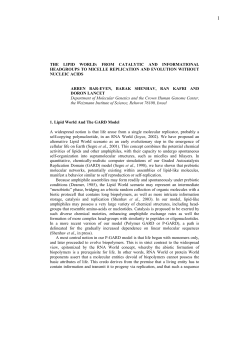 the lipid world: from catalytic and informational headgroups to