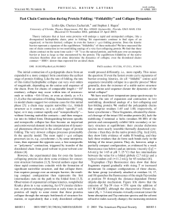 Fast Chain Contraction during Protein Folding