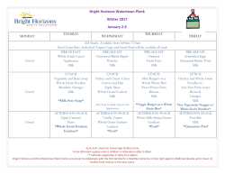 Bright Horizons Watertown Plank Winter 2017 January 2-6