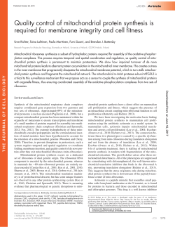 Quality control of mitochondrial protein synthesis is required for