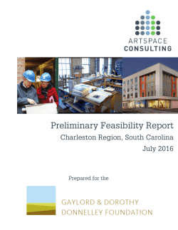 Preliminary Feasibility Report