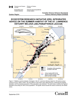 Complete PDF document