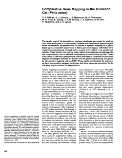 Comparative Gene Mapping in the Domestic Cat (Felis catus)