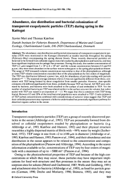 Abundance, size distribution and bacterial colonization of