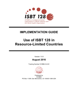 Implementation Guide Template