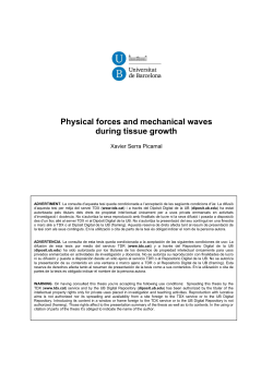 Physical forces and mechanical waves during tissue growth