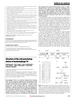 Structure of the cell-puncturing device of