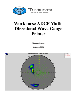 Workhorse ADCP Multi- Directional Wave Gauge Primer