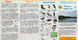 Brochure made by volunteers