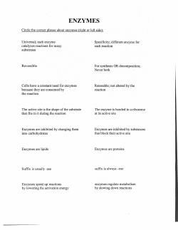 Circle the correct phrase about enzymes (right or left side): Universal