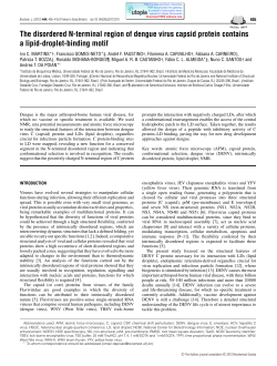 The disordered N-terminal region of dengue virus capsid protein