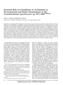 Essential Role of Glutathione in Acclimation to