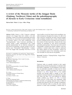 A review of the Mesozoic turtles of the Junggar Basin (Xinjiang