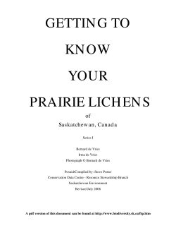 getting to know your prairie lich en s