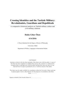 Crossing Identities and the Turkish Military: Revolutionists