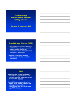 Pathologic Approach to Small Airways Disease