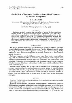 On the Role of Bacitracin Peptides in Trace Metal
