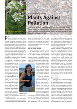 Plants Against Pollution