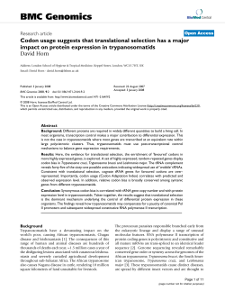Codon usage suggests that translational selection has a major