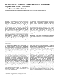 The Reduction of Chromosome Number in Meiosis