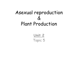 Asexual Reproduction