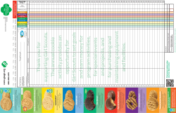 T hank you for sup p orting G irl Scouts. T he annual cookie activity p