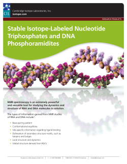 Stable Isotope-Labeled Nucleotide Triphosphates and DNA