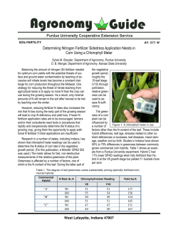 D etermining Nitrogen F ertilizer S idedres s A