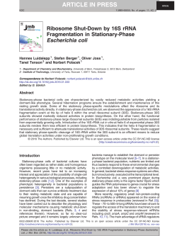 Ribosome Shut-Down by 16S rRNA Fragmentation in Stationary