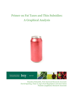Primer on Fat Taxes and Thin Subsidies: A Graphical Analysis