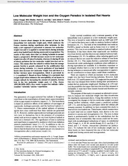 Low Molecular Weight Iron and the Oxygen Paradox in Isolated Rat