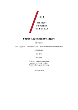 Septic Acute Kidney Injury