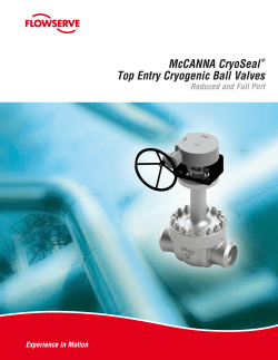 McCANNA CryoSeal&reg; Top Entry Cryogenic Ball Valves