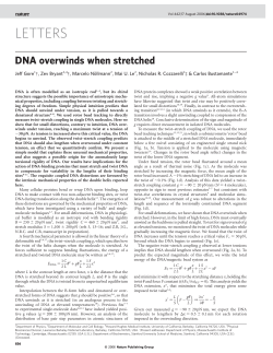 DNA overwinds when stretched