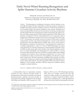 Daily Novel Wheel Running Reorganizes and Splits Hamster